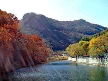 天天彩好彩天天免费，山东省网站优化